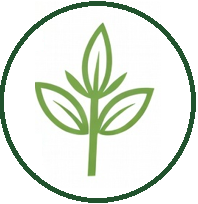 The Redditch Clean Co.